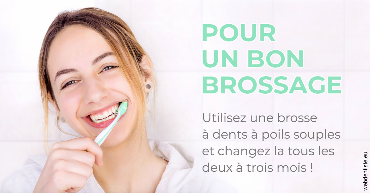 https://www.orthodontiste-nogentsurmarne.com/Pour un bon brossage 2