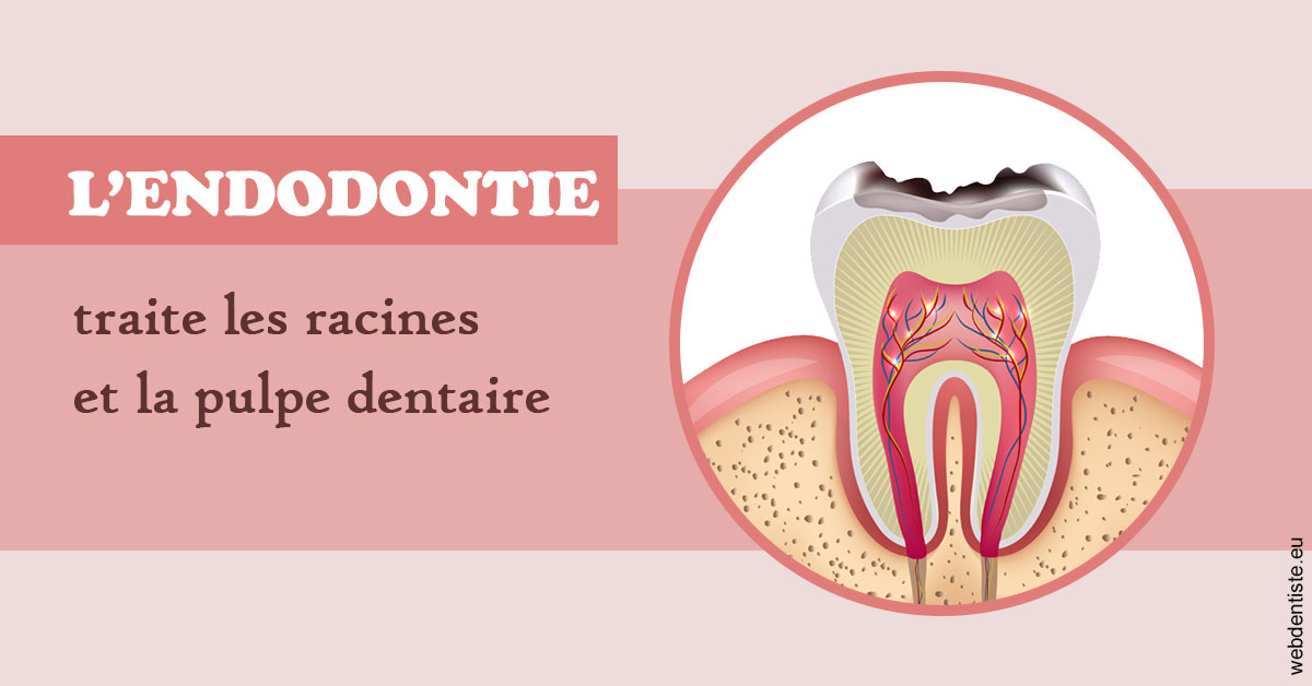 https://www.orthodontiste-nogentsurmarne.com/L'endodontie 2