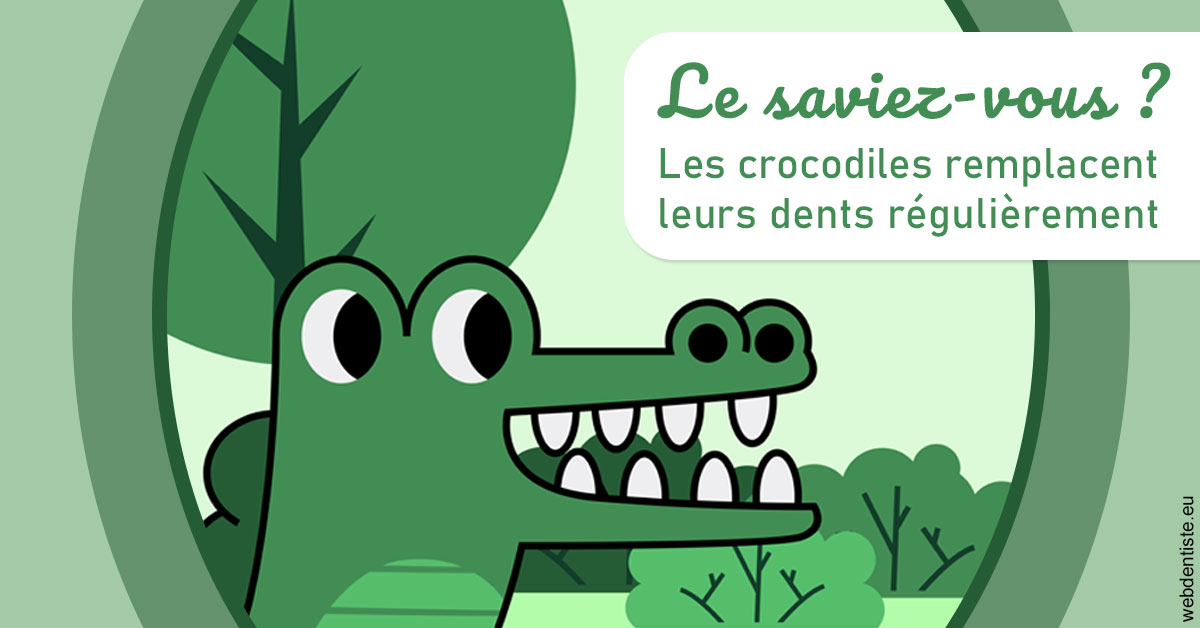 https://www.orthodontiste-nogentsurmarne.com/Crocodiles 2