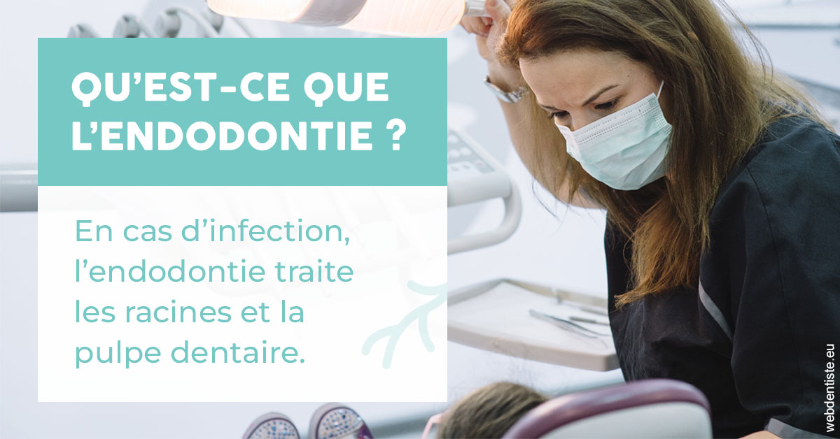 https://www.orthodontiste-nogentsurmarne.com/2024 T1 - Endodontie 01
